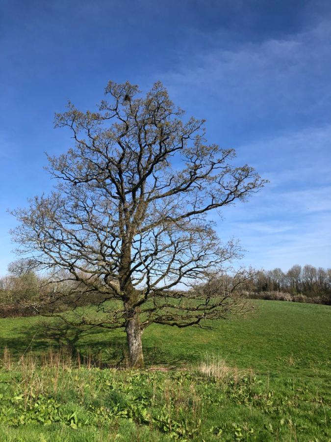 Les Gites De La Cabache Montaigu-les-Bois Esterno foto